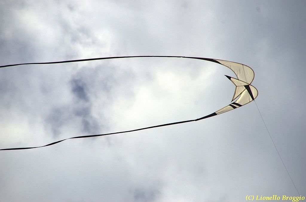 32 FESTIVAL CERVIA 2012 - 324.jpg